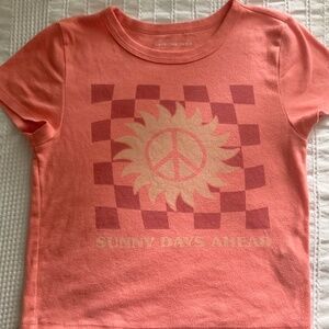 american eagle crop top